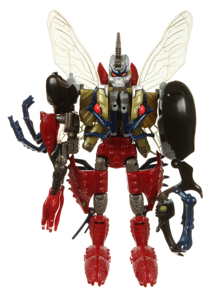 tripredacus toy