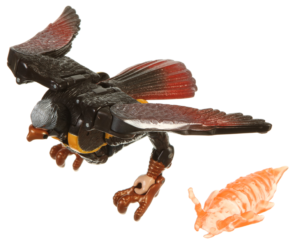 hawk transformer toy