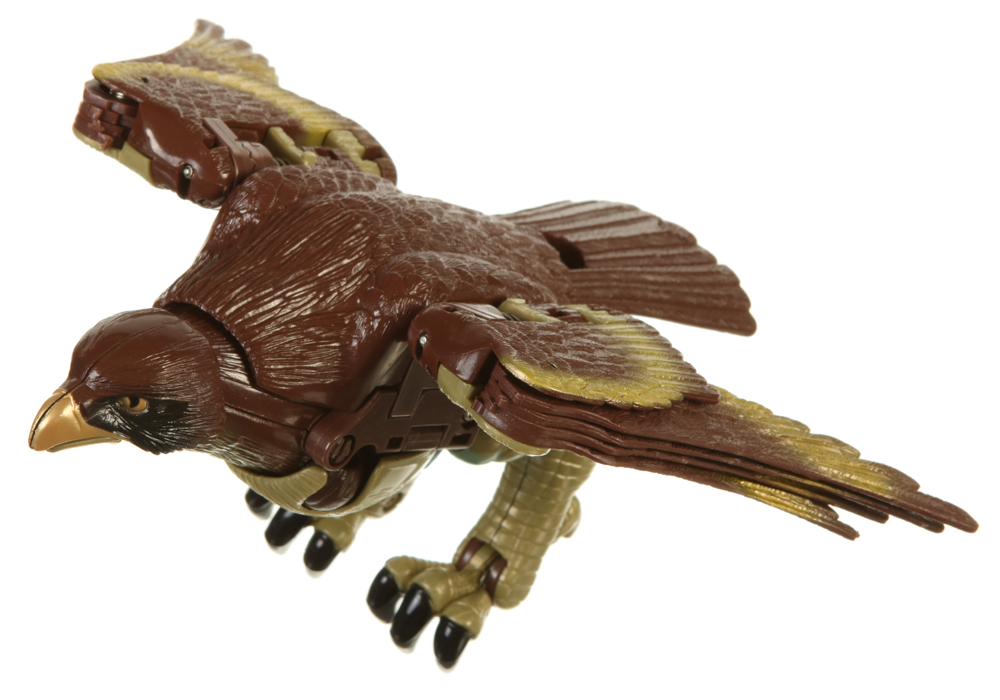 hawk transformer toy