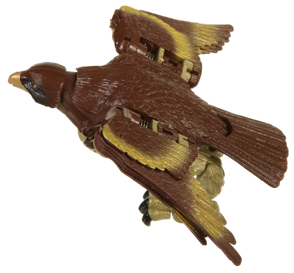 hawk transformer toy