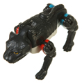 Panther Image