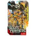 Boxed Bumblebee Image