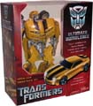 Boxed Bumblebee Image