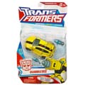 Boxed Bumblebee Image