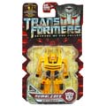 Boxed Bumblebee Image