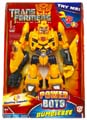 Boxed Bumblebee Image