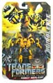 Boxed Bumblebee Image