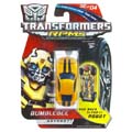 Boxed Bumblebee Image