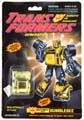 Boxed Bumblebee Image