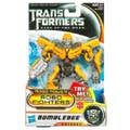 Boxed Bumblebee Image