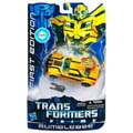 Boxed Bumblebee Image