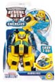 Boxed Bumblebee Image