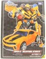 Boxed Bumblebee Image