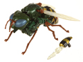 Picture of Waspinator