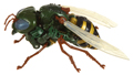 Waspinator Image