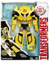 Boxed Bumblebee Image