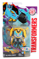 Boxed Bumblebee Image