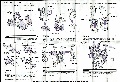 Bruticus hires scan of Instructions