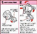 Bumblebee hires scan of Instructions