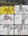 Cheetor hires scan of Instructions