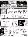 Megatron hires scan of Instructions
