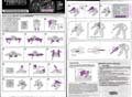 Megatron hires scan of Instructions