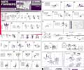 Skywarp hires scan of Instructions