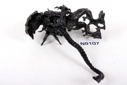 Thumbnail of item image