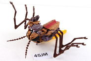 Thumbnail of item image