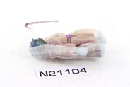 Thumbnail of item image