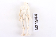 Thumbnail of item image