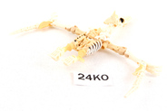 Thumbnail of item image