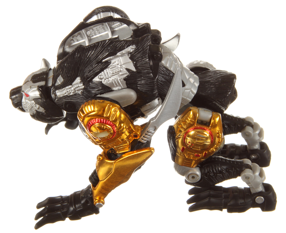 tripredacus toy