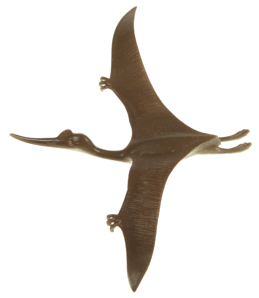 1/24 Scale Dinosaurs Pterodactyl with Llahd (DinoRiders, Heroic DinoRider (Valorian