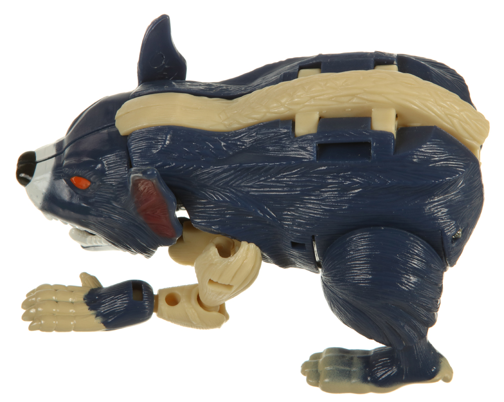 Basic Class Bound Rogue (RM07) (Transformers, Robot Masters, Cybertron