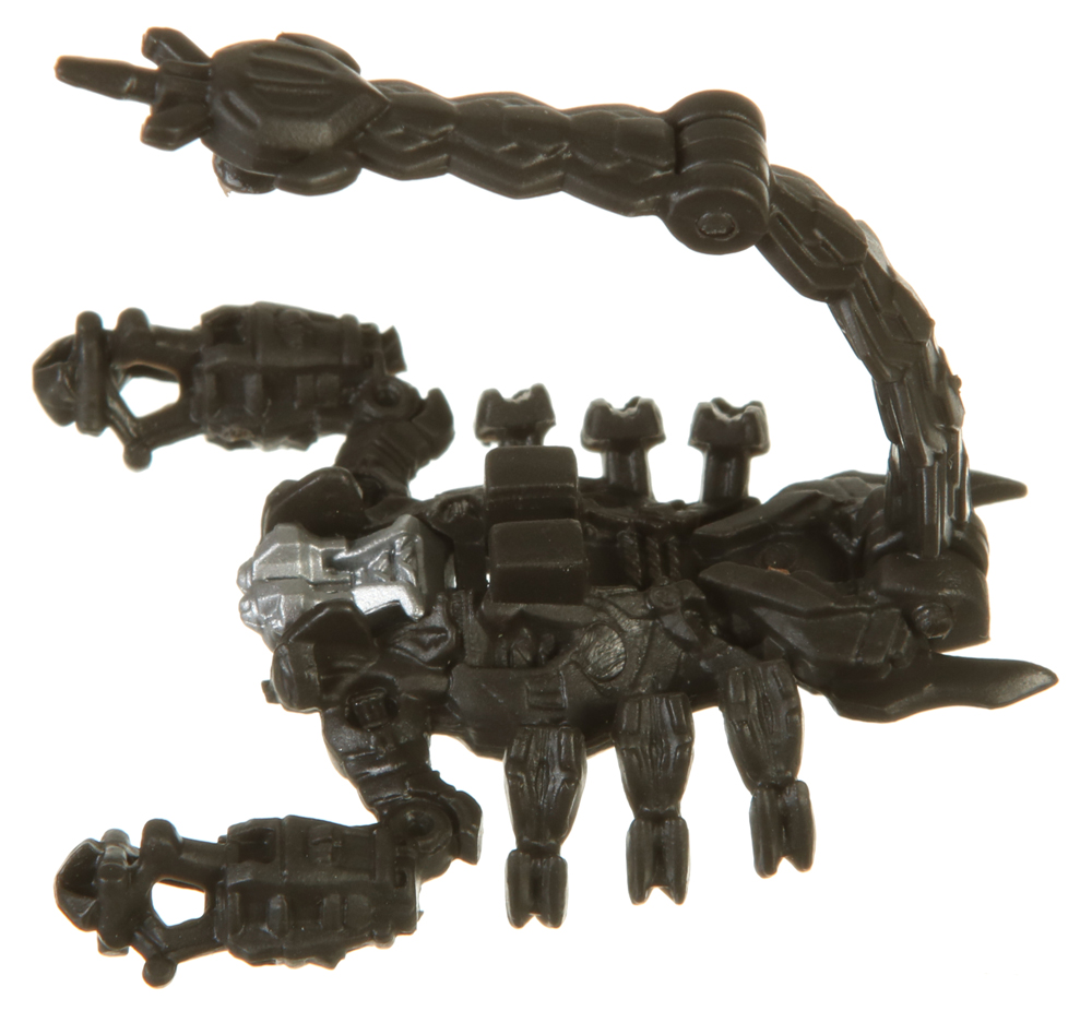 blackout scorponok