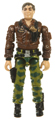 Hawk Image