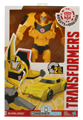 Boxed Bumblebee Image