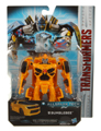 Boxed Bumblebee Image