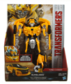 Boxed Bumblebee Image