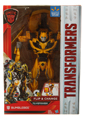 Boxed Bumblebee Image