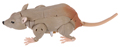 Remolded Toy
