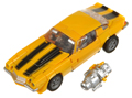 Picture of Bumblebee (01) 