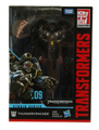 Boxed Thundercracker Image