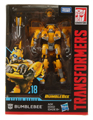 Boxed Bumblebee Image