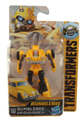 Boxed Bumblebee (Beetle) Image