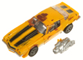 Picture of Clunker Bumblebee (27) 