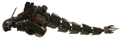 Horn Larva (combined) Image