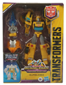 Boxed Bumblebee Image