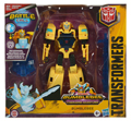 Boxed Bumblebee Image